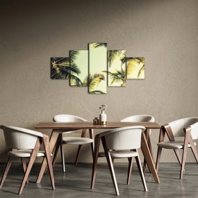 Obraz z palmami kokosowymi (125x70 cm)
