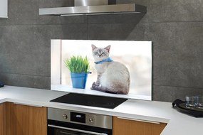 Panel szklany do Kuchni Dostojny Siedzący Kot