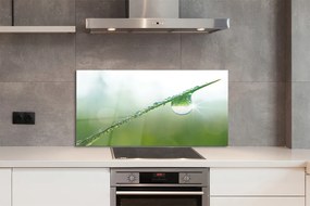 Szklany Panel Kropla trawa makro