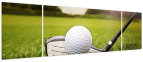 Obraz - Golf (170x50 cm)