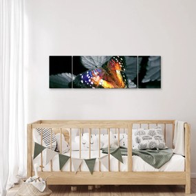 Obraz motyla (170x50 cm)
