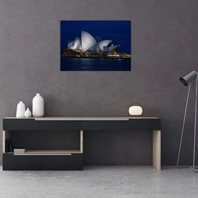 Obraz Sydney w nocy (70x50 cm)