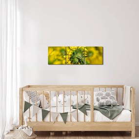 Obraz słonecznika (z zegarem) (90x30 cm)