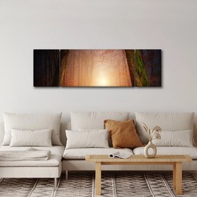 Obraz jesiennego lasu we mgle (170x50 cm)