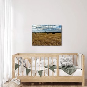 Obraz zebranego pola zboża (70x50 cm)