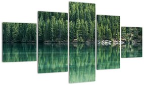 Obraz - drzewa iglaste nad jeziorem (125x70 cm)