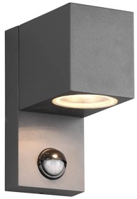 Kinkiet zewnętrzny z czujnikiem ruchu (wys. 15 cm) Roya – Trio