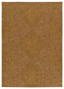 Brązowy dywan odpowiedni na zewnątrz 80x150 cm Guinea Natural – Universal