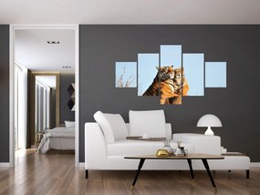 Obraz - Tygrysica i jej młode (125x70 cm)