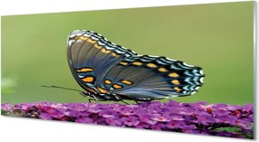 Panel nad Blat Kuchenny Barwny Motyl na Kwiatach