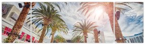 Obraz - palmy z basenem (170x50 cm)