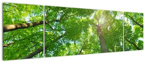Obraz - Las (170x50 cm)
