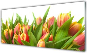 Panel Szklany do Kuchni Klasyczny Bukiet Tulipanów