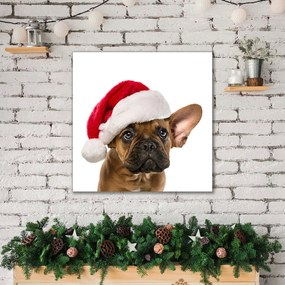 Obraz Canvas Bulldog Pies Święta