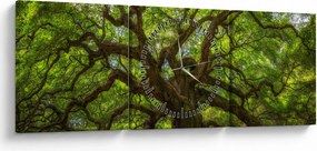 Obraz - Zielone drzewo (z zegarem) (90x30 cm)