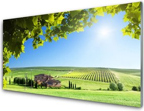 Panel Szklany Jesienne Pole pełne Liści