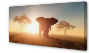 Obraz na płótnie Słoń i Drzewa o Wschodzie