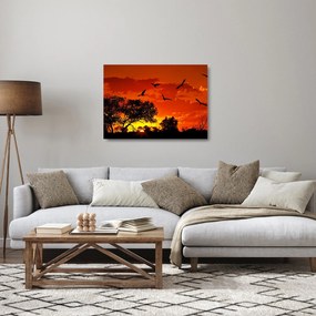 Obraz na szkle ptaków o zachodzie słońca (70x50 cm)