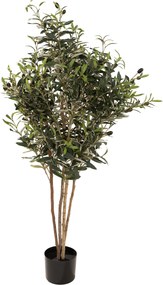 Drzewko oliwne w doniczce 130 cm