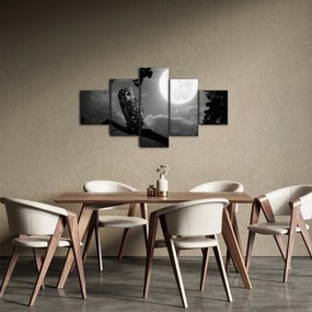 Obraz - Nocna sowa, czarno-biały (125x70 cm)