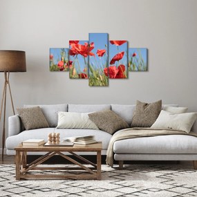 Obraz - Maki (125x70 cm)