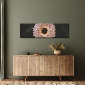 Obraz pomarańczowego kwiatu (170x50 cm)