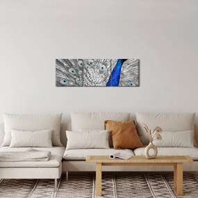 Obraz - niebieski paw (z zegarem) (90x30 cm)