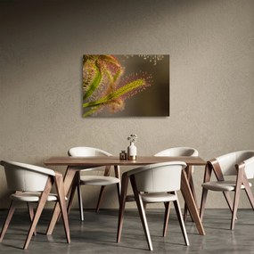 Obraz na szkle - roślina (70x50 cm)