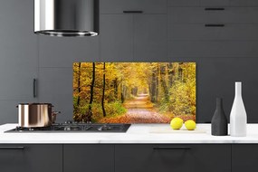 Panel Szklany Spacer Przez Słoneczny Las