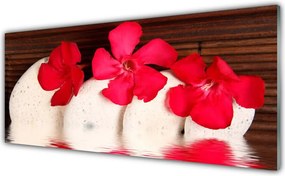 Szkło do Kuchni na Ścianę Kwiaty Na Ciemnych Kamieniach