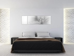 Obraz - Delikatna lilia (170x50 cm)