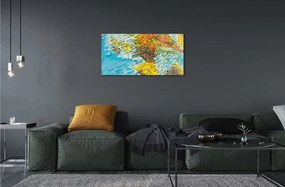Obraz na szkle Globus mapa