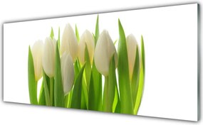 Panel Kuchenny Polana Kolorowych Tulipanów