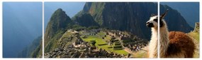 Obraz - Lama i Machu Picchu (170x50 cm)