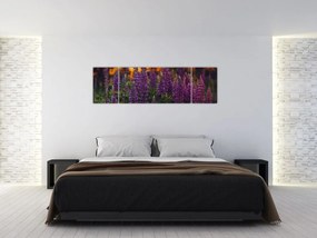 Obraz kwiatów łubinu (170x50 cm)