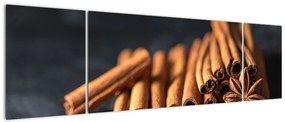 Obraz cynamonu (170x50 cm)