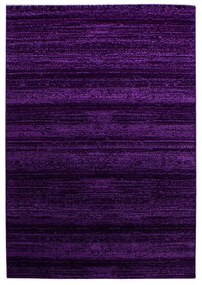 Ciemnofioletowy dywan 140x200 cm Plus – Ayyildiz Carpets