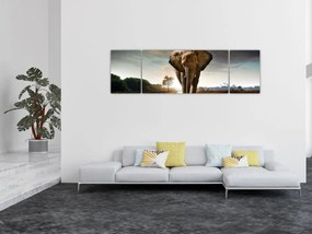 Obraz słonia (170x50 cm)