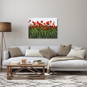 Obraz na szkle maków na wietrze (70x50 cm)