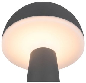 Lampa zewnętrzna ze ściemniaczem ø 16 cm Fungo – Trio