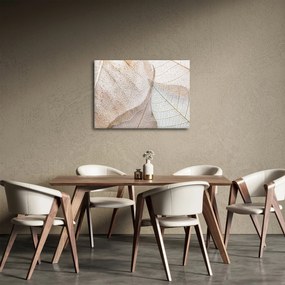 Obraz - Beżowe liście (70x50 cm)
