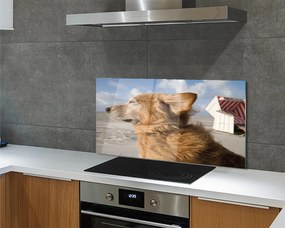 Szklany Panel Pies na Nadmorskiej Plaży