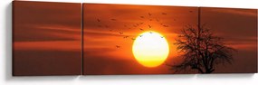 Obraz - Zachód słońca (170x50 cm)