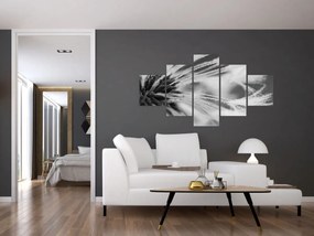 Obraz - Makro, czarno - biały (125x70 cm)