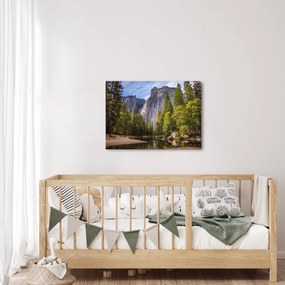 Obraz - Pod Yosemite Rock (70x50 cm)