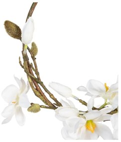 Wieniec Magnolia – Ixia