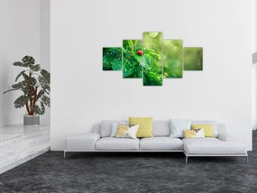 Obraz - Biedronka (125x70 cm)