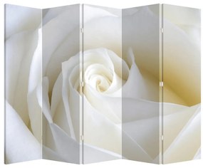Parawan - Biała róża (210x170 cm)