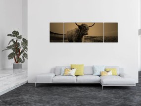 Obraz - Szkocka krowa na wolności (170x50 cm)