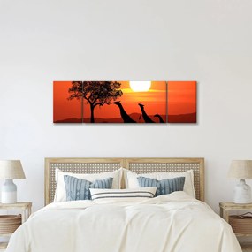 Obraz żyraf o zachodzie słońca (170x50 cm)